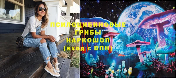PSILOCYBIN Алексеевка