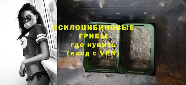 прущие грибы Алексин