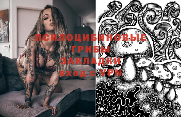 PSILOCYBIN Алексеевка