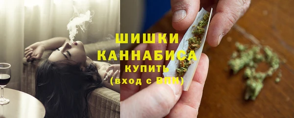 прущие грибы Алексин