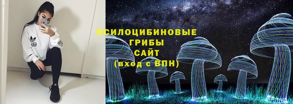 PSILOCYBIN Алексеевка
